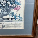 Twelve Months of Flowers June English Botanical Pr