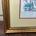 Twelve Months of Flowers October Print Robert Furb