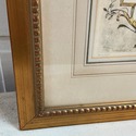 Lithograph French Feste Bacchique Pastoral Scene F