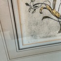 Lithograph French Feste Bacchique Pastoral Scene F