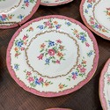 Crown Staffordshire Salad Plates Set of 8 F16165 8