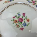 8 Crown Staffordshire Dinner Plates F16165 10.25" 
