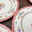 8 Crown Staffordshire Dinner Plates F16165 10.25" 