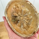 Italian Earthenware Pottery Butter Mold Made by Mo