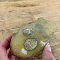 Italian Earthenware Pottery Butter Mold Made by Mo