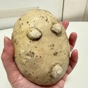 Italian Earthenware Pottery Butter Mold Made by Mo