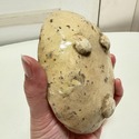 Italian Earthenware Pottery Butter Mold Made by Mo