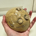 Italian Earthenware Pottery Butter Molds Made by M