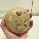 Italian Earthenware Pottery Butter Molds Made by M
