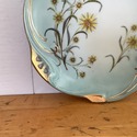 Cabinet Plate Pale Blue Green Gold Trim Yellow Mod