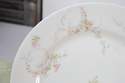 Antique Theodore Haviland Limoges Dinner Plate 8 7