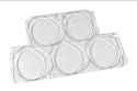 Click here to view item details