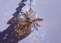 m/w Swarovski Crystal RARE Vintage Rose + AB Star 