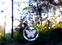 Crystal Butterfly Suncatcher w/Swarovski Butterfli
