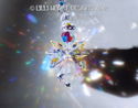  m/w Swarovski Incredible Rainbow AB Clear ANGEL S