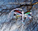 m/w Swarovski MAGNIFICENT BIG Aurora Dragonfly Sun