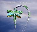 m/w Swarovski Crystal BIG Peridot Green Dragonfly 