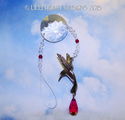 Fine Crystal 40mm Starflower Pewter Hummingbird  S