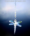 m/w Swarovski Crystal Aurora Borealis Dragonfly Su