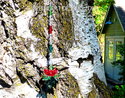 m/w Swarovski NEW Christmas Ornament SUNCATCHER Re