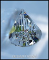 SWAROVSKI CRYSTAL Newest Shape Ready to Hang SUNCA