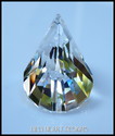 SWAROVSKI CRYSTAL Newest Shape Ready to Hang SUNCA