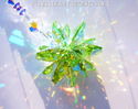 m/w Swarovski Crystal Limited Ed AB Peridot Sun Ca