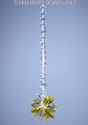 m/w Swarovski Crystal Lt Topaz And Clear Sunburst 