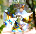 Swarovski Crystal Brilliant 60mm Clear Lily Octago