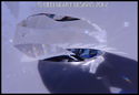 Swarovski Crystal Newest the Scala Logo Sun Catche