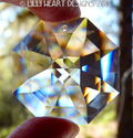 Swarovski Crystal Brilliant 40mm Clear Lily Octago