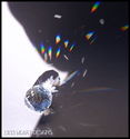 m/w Swarovski Mozart Ball w/ AB Leaves Pineapple S