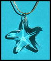 m/w Swarovski Crystal Starfish on 24K Gold Plated 