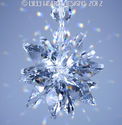 m/w Swarovski Clear Crystal STAR Chakra Octagons S