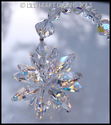 m/w Swarovski Crystal Lily LOGO Clear + AB Star Su