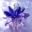m/w Swarovski Crystal Purple, Violet, Pink Star Su