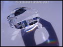 Swarovski Crystal Newest the Scala Logo Sun Catche