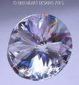 Crystal Clear Star Flower 45mm Sun Catcher MANY RA