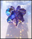 m/w Swarovski Crystal Rare Limited AB Purple SunCa