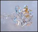 m/w Swarovski Crystal Lily LOGO Clear + AB Star Su