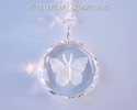 Crystal Butterfly Disk Clear Etched Faceted with S