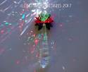 Lilli Heart Designs Annual  *2017 Christmas Orname