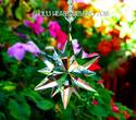 Large 3" Christmas Star Prism Ornament Suncatcher 