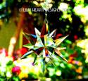 Large 3" Christmas Star Prism Ornament Suncatcher 