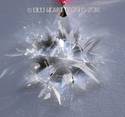 Large 3" Crystal Clear Christmas Star Prism Orname