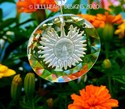 BIG SMILING SUN Crystal Suncatcher Sparkling Clear