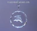 Crystal Clear Etched Double Dolphins Suncatcher wi