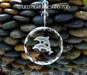 Crystal Clear Etched Double Dolphins Suncatcher wi