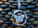 Crystal Butterfly Disk Clear Etched Faceted with S