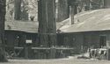 Rppc Richardson Grove State Park Ca California Red